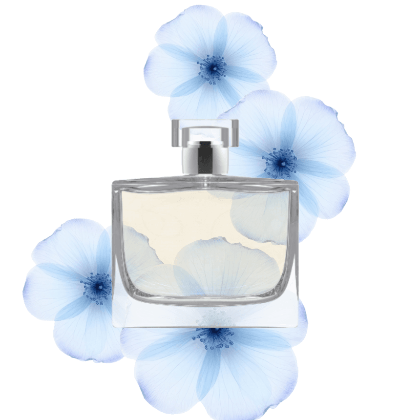 Explore bottles image