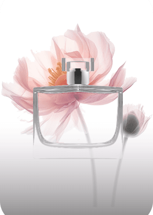 Explore bottles image