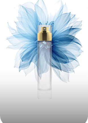 Explore bottles image